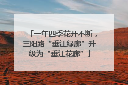 一年四季花开不断，三阳路“垂江绿廊”升级为“垂江花廊”