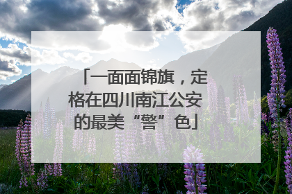 一面面锦旗，定格在四川南江公安的最美“警”色