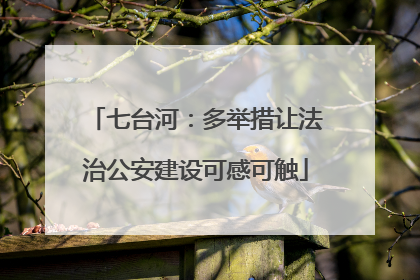 七台河：多举措让法治公安建设可感可触