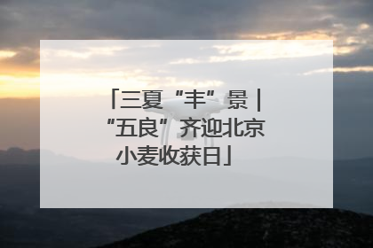 三夏“丰”景｜“五良”齐迎北京小麦收获日