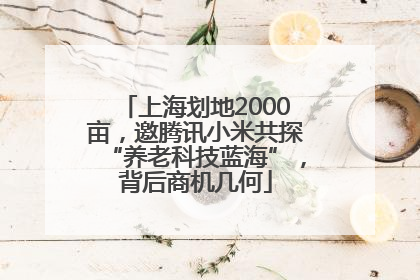 上海划地2000亩，邀腾讯小米共探“养老科技蓝海”，背后商机几何