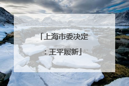 上海市委决定：王平履新