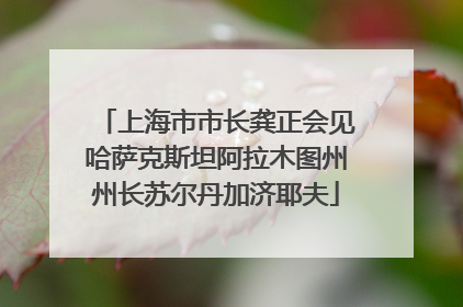 上海市市长龚正会见哈萨克斯坦阿拉木图州州长苏尔丹加济耶夫