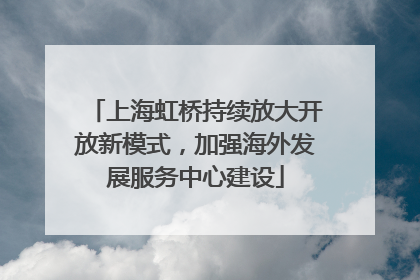 上海虹桥持续放大开放新模式，加强海外发展服务中心建设