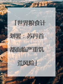 世界粮食计划署：苏丹首都面临严重饥荒风险