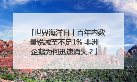 世界海洋日丨百年内数量锐减至不足1% 非洲企鹅为何迅速消失？