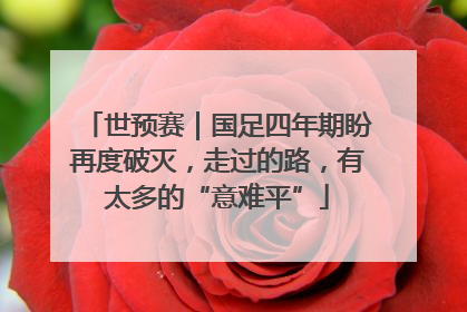 世预赛｜国足四年期盼再度破灭，走过的路，有太多的“意难平”