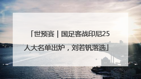 世预赛｜国足客战印尼25人大名单出炉，刘若钒落选