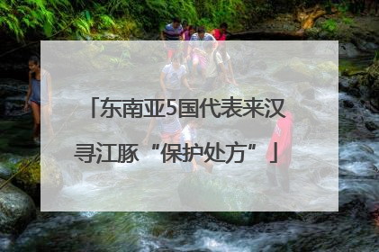 东南亚5国代表来汉寻江豚“保护处方”