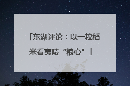 东湖评论：以一粒稻米看夷陵“粮心”