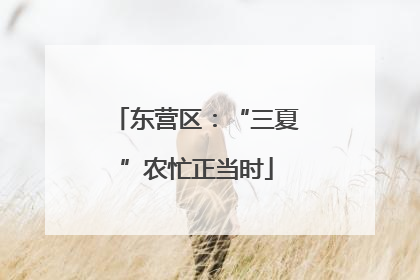东营区：“三夏”农忙正当时