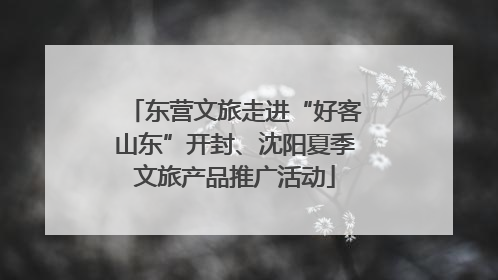 东营文旅走进“好客山东”开封、沈阳夏季文旅产品推广活动