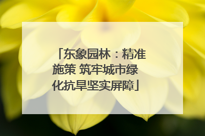 东象园林：精准施策 筑牢城市绿化抗旱坚实屏障