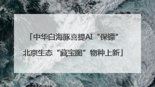 中华白海豚喜提AI“保镖” 北京生态“藏宝图”物种上新