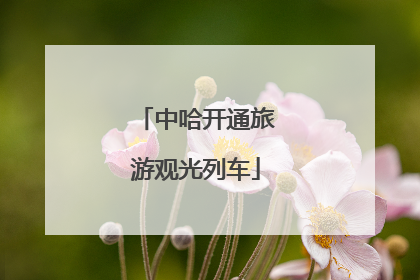 中哈开通旅游观光列车