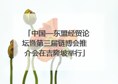中国—东盟经贸论坛暨第三届链博会推介会在吉隆坡举行