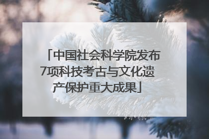 中国社会科学院发布7项科技考古与文化遗产保护重大成果