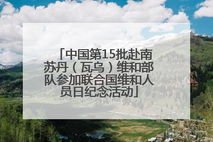 中国第15批赴南苏丹（瓦乌）维和部队参加联合国维和人员日纪念活动
