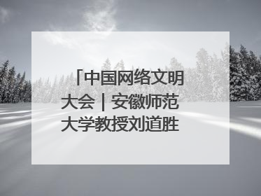中国网络文明大会｜安徽师范大学教授刘道胜：“E”览徽风，构筑中华民族共有精神家园