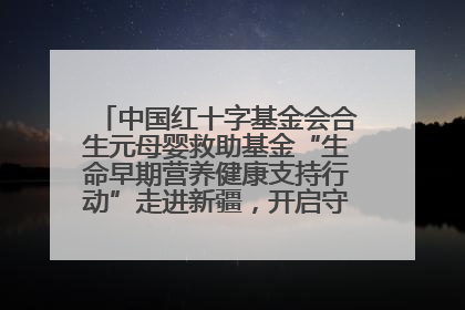 中国红十字基金会合生元母婴救助基金“生命早期营养健康支持行动”走进新疆，开启守护母婴新篇章！