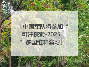 中国军队将参加“可汗探索-2025”多国维和演习