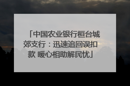 中国农业银行桓台城郊支行：迅速追回误扣款 暖心相助解民忧
