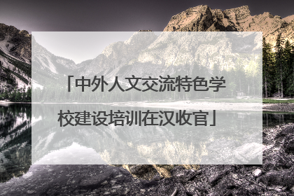 中外人文交流特色学校建设培训在汉收官
