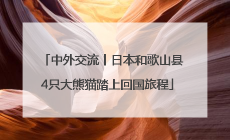 中外交流丨日本和歌山县4只大熊猫踏上回国旅程