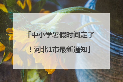 中小学暑假时间定了！河北1市最新通知
