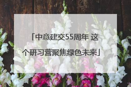 中意建交55周年 这个研习营聚焦绿色未来