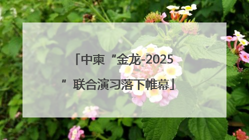 中柬“金龙-2025”联合演习落下帷幕
