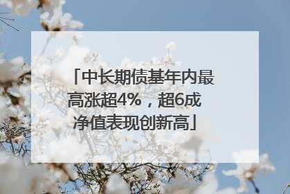 中长期债基年内最高涨超4%，超6成净值表现创新高