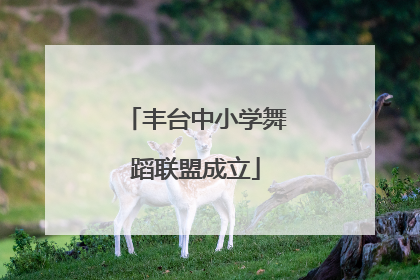 丰台中小学舞蹈联盟成立