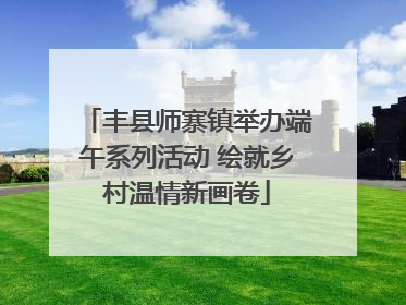 丰县师寨镇举办端午系列活动 绘就乡村温情新画卷