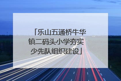 乐山五通桥牛华镇二码头小学夯实少先队组织建设
