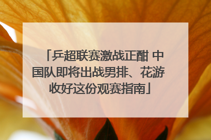乒超联赛激战正酣 中国队即将出战男排、花游 收好这份观赛指南