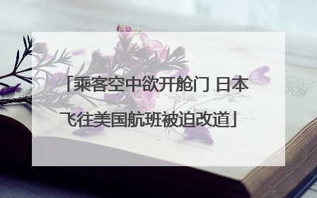 乘客空中欲开舱门 日本飞往美国航班被迫改道