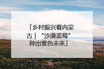 乡村振兴看内蒙古｜“沙漠蓝莓”种出紫色未来