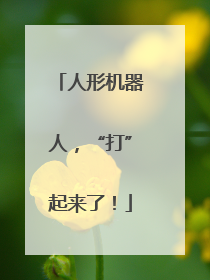 人形机器人，“打”起来了！