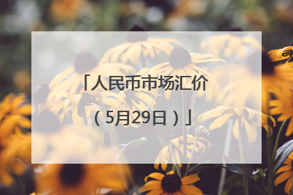 人民币市场汇价（5月29日）