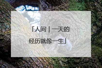 人间｜一天的经历就像一生