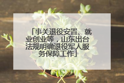 事关退役安置、就业创业等，山东出台法规明确退役军人服务保障工作