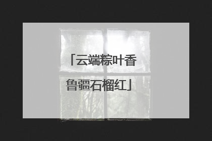 云端粽叶香 鲁疆石榴红