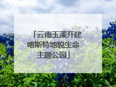 云南玉溪开建喀斯特地貌生命主题公园