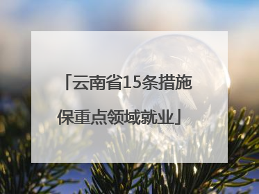 云南省15条措施保重点领域就业