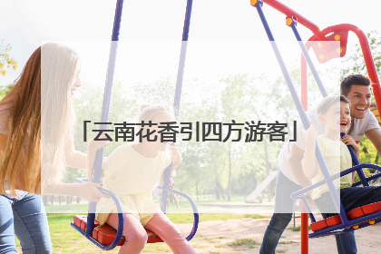 云南花香引四方游客