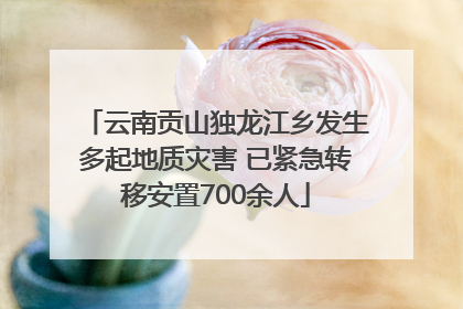 云南贡山独龙江乡发生多起地质灾害 已紧急转移安置700余人