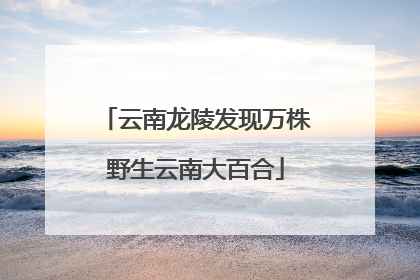 云南龙陵发现万株野生云南大百合