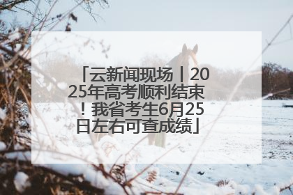 云新闻现场丨2025年高考顺利结束！我省考生6月25日左右可查成绩
