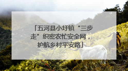 五河县小圩镇“三步走”织密农忙安全网，护航乡村平安路
